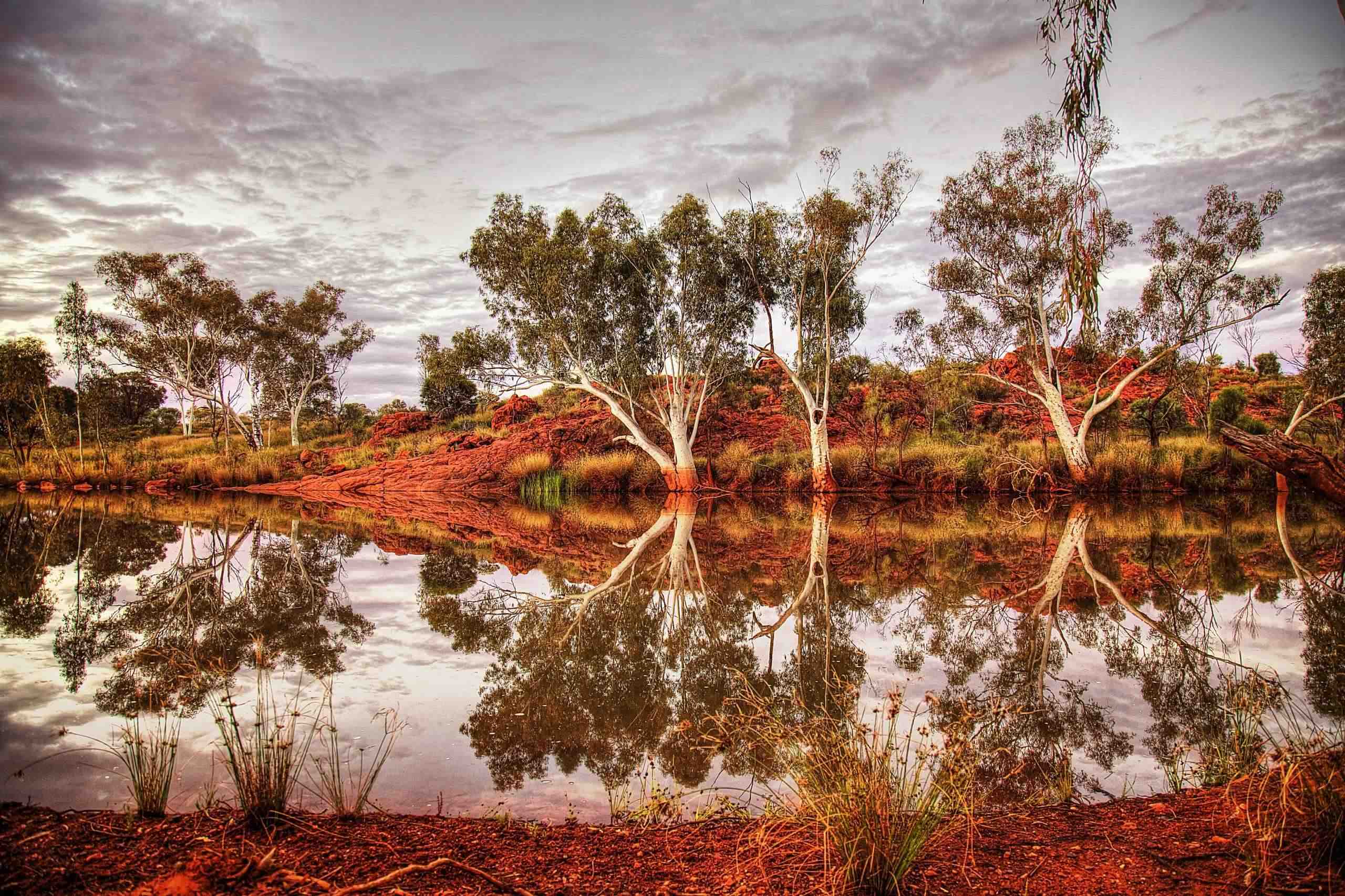 Indigenous Trusts